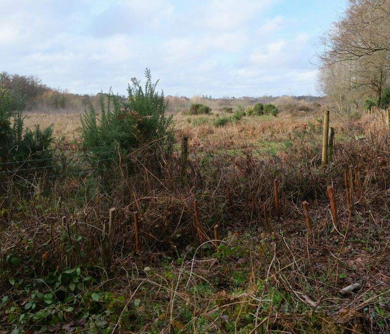 株式会社リフレッシュリストア - Image 10